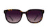 Dylan Polarized | Classic Tortoise