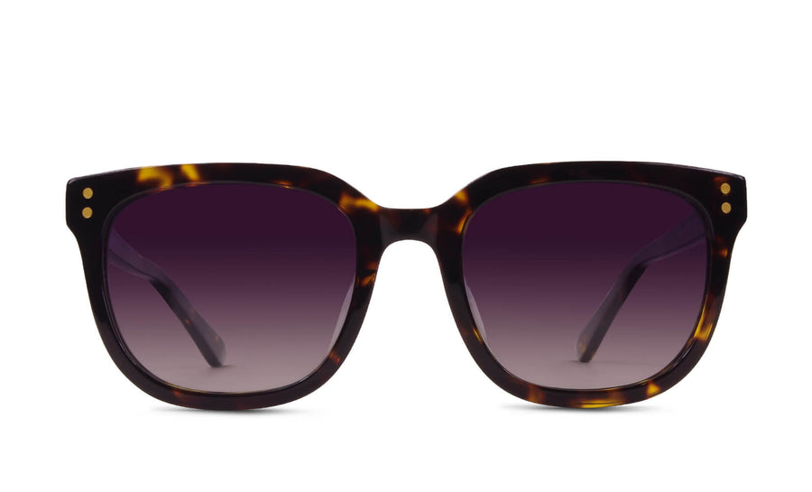 Dylan Polarized | Classic Tortoise