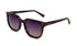 Dylan Polarized | Classic Tortoise