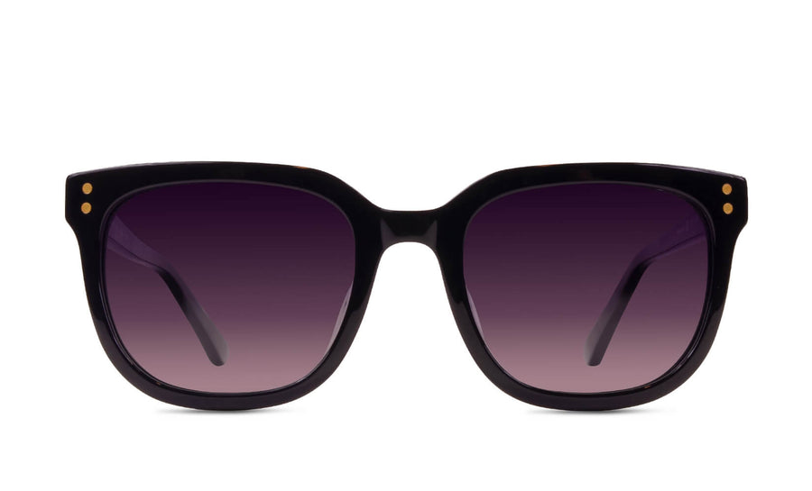 Dylan Polarized | Midnight Black