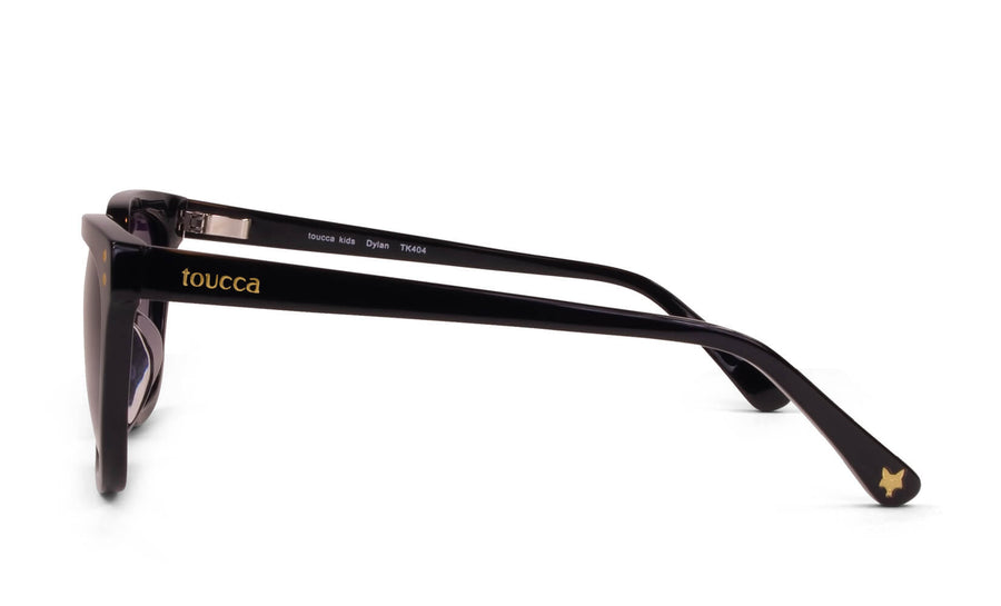 Dylan Polarized | Midnight Black