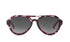 Parker Polarized | Pink Tortoise