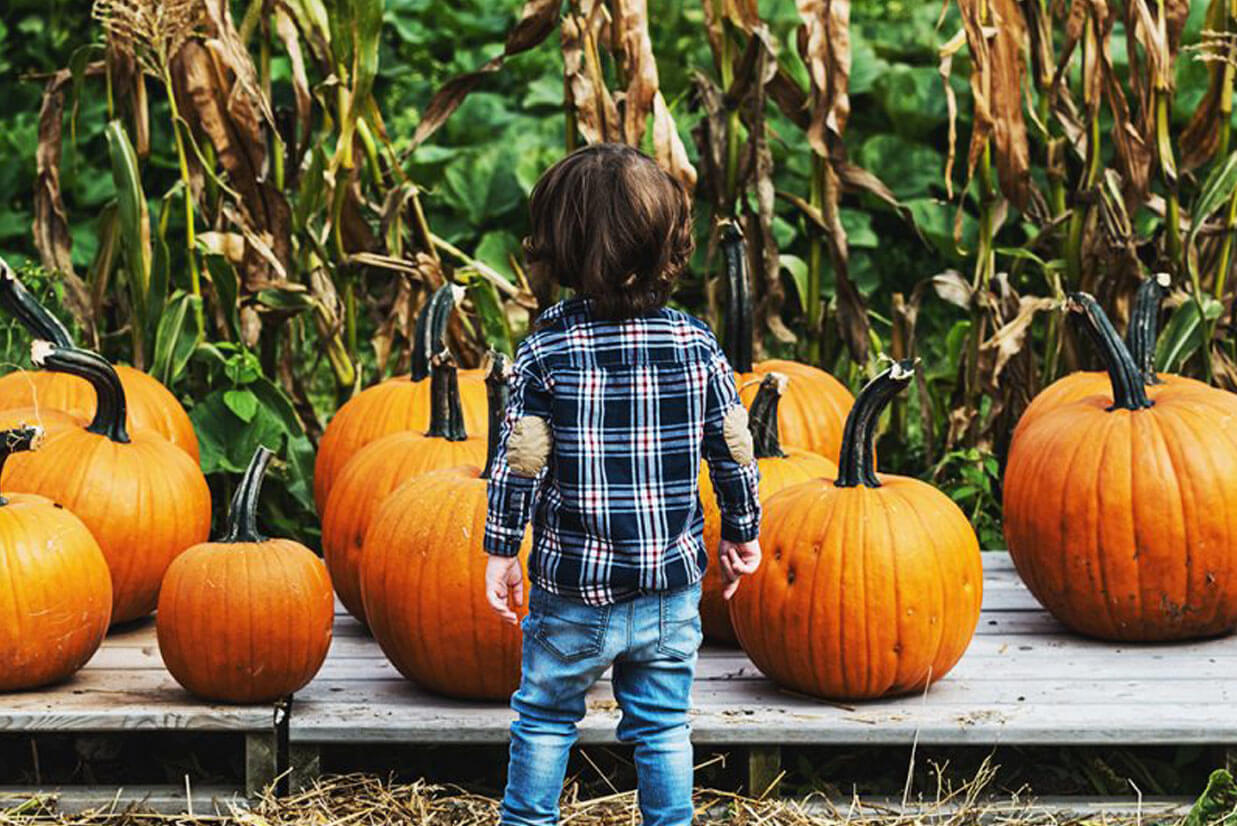Top 5 Ways to Enjoy the Fall Weather With Your Kids