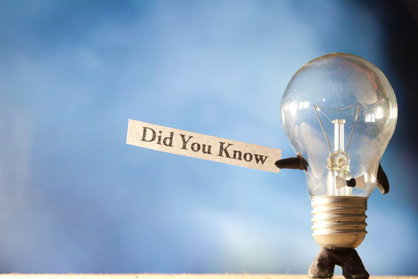 toucca kids - 20 Amazing Eye Facts