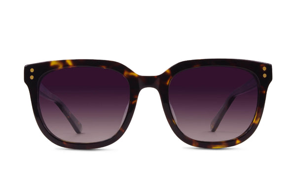 Dylan Polarized | Classic Tortoise